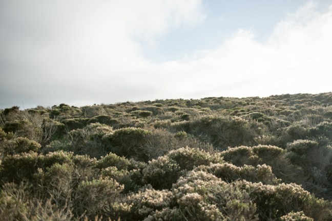 Michael Fuchs 041915 (4)