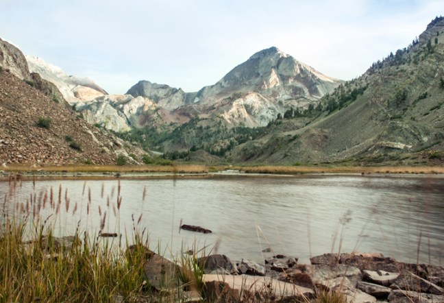 Michael Fuchs 041915 (5)