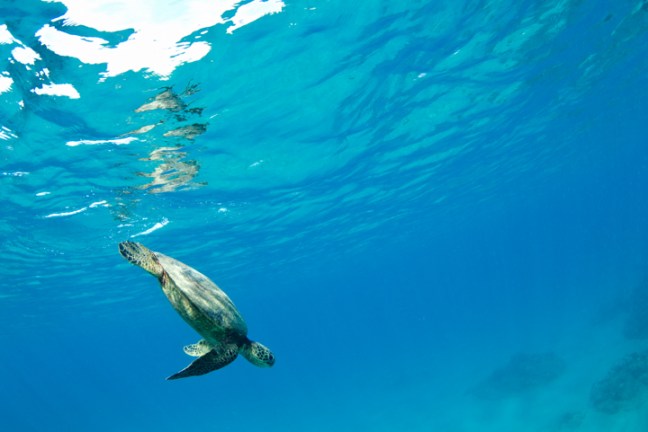 Michael Fuchs 042014 (3)