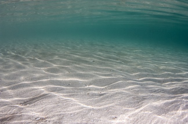 Michael Fuchs 042714 (1)