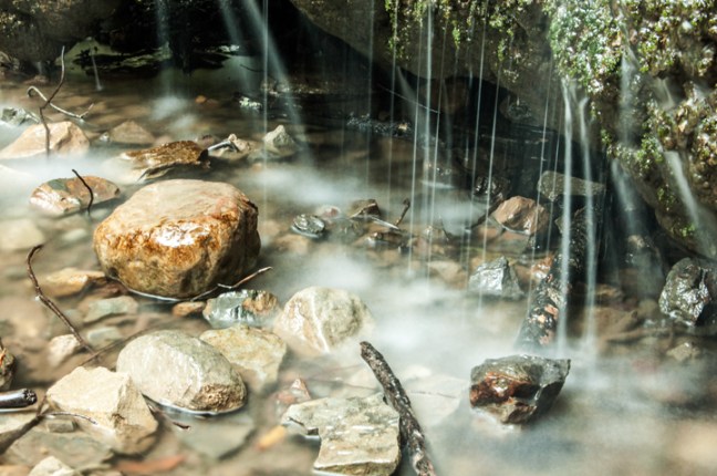 Michael Fuchs 042714 (4)