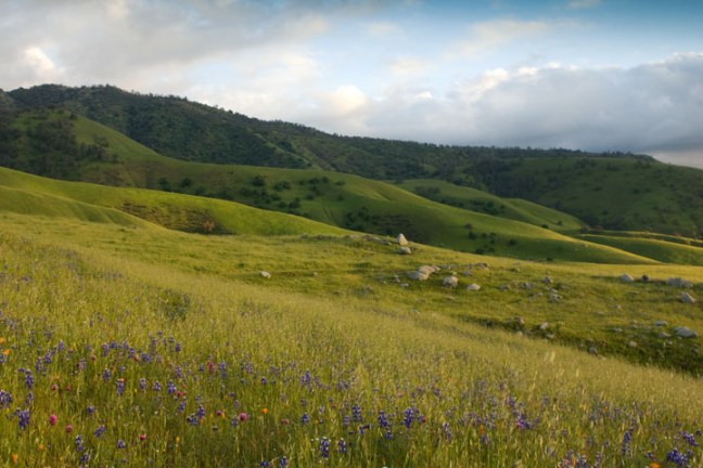 Michael Fuchs 042813 (1)