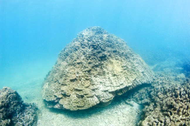 Michael Fuchs 050315 (3)