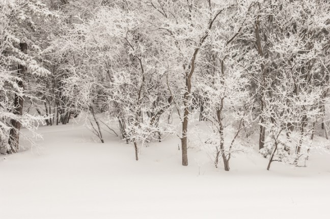 Michael Fuchs 050315 (4)