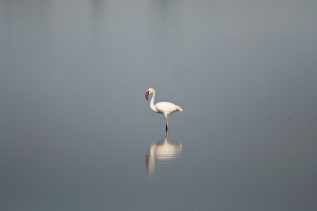 Michael Fuchs 050414