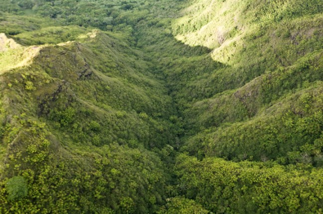 Michael Fuchs 050513 (2)