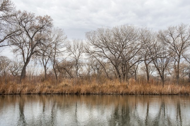 Michael Fuchs 050513 (3)