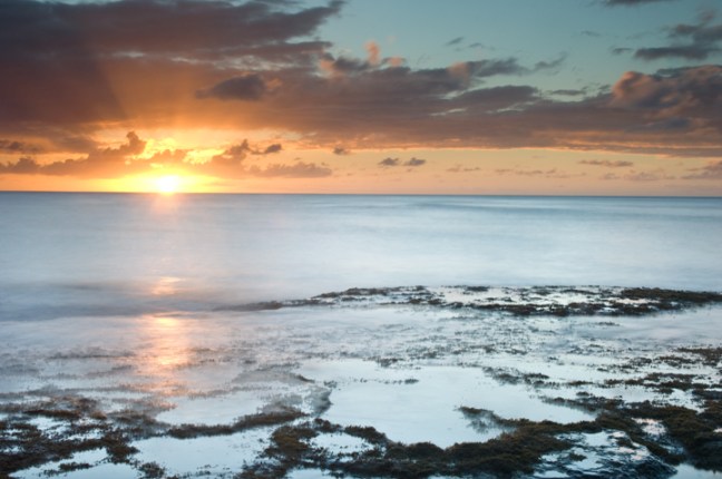 Michael Fuchs 050513 (5)