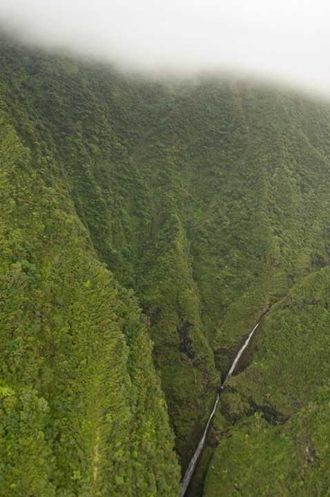 Michael Fuchs 051015 (3)