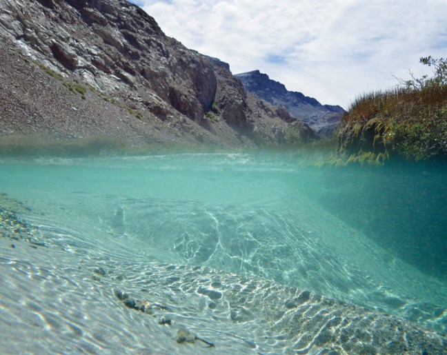 Michael Fuchs 051015 (5)