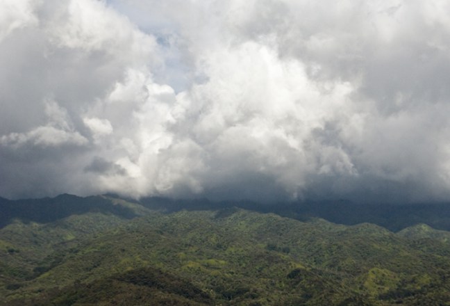 Michael Fuchs 051114 (1)