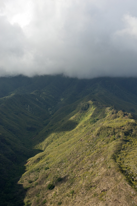 Michael Fuchs 051213 (2)