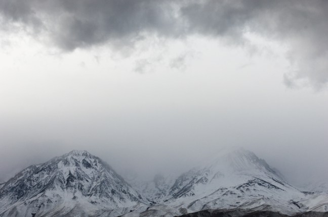 Michael Fuchs 051213 (4)