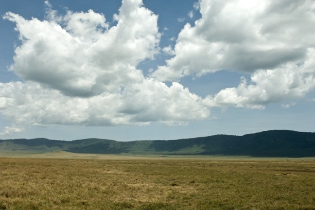 Michael Fuchs 051213 (5)