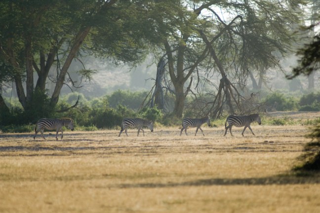 Michael Fuchs 051715 (1)