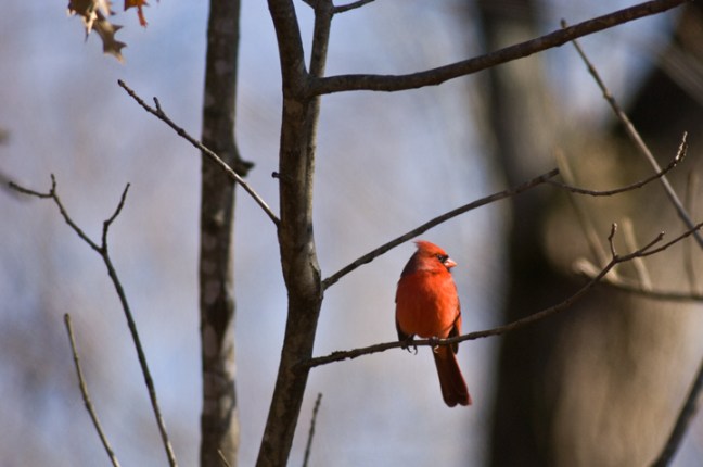 Michael Fuchs 051715 (4)