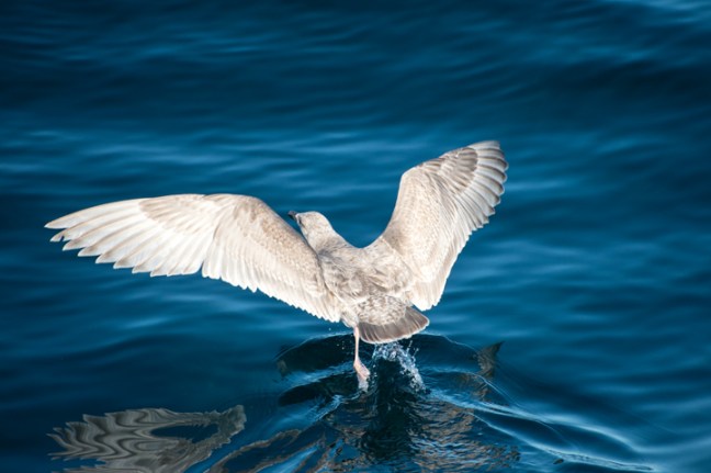 Michael Fuchs 051814 (1)