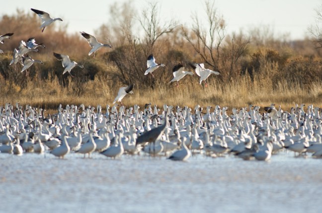 Michael Fuchs 051814 (4)