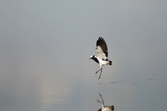 Michael Fuchs 051913 (3)