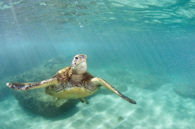 Michael Fuchs 051913 (4)