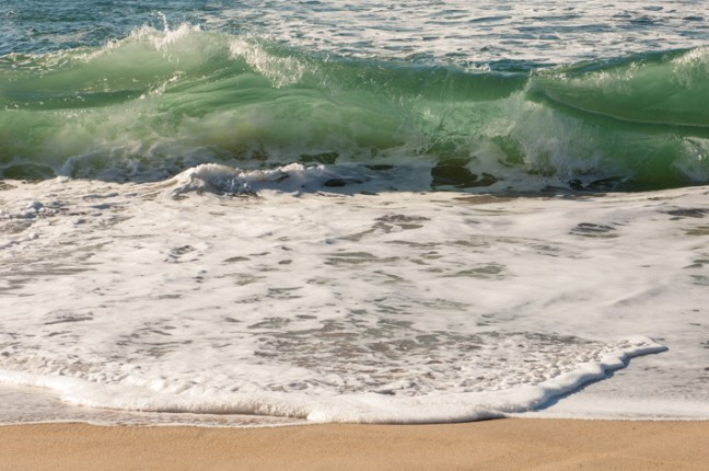 Michael Fuchs 052415 (2)