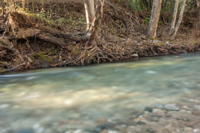 Michael Fuchs 052415 (3)