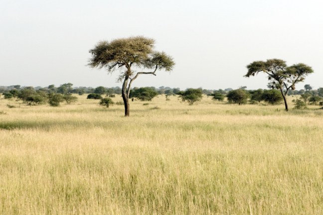 Michael Fuchs 052514 (1)