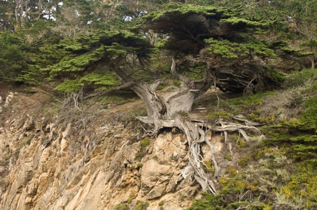 Michael Fuchs 052514 (3)