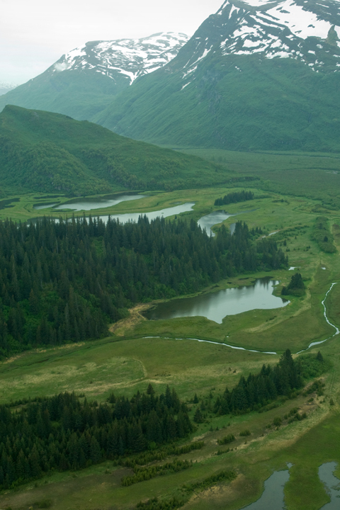 Michael Fuchs 052631 (4)