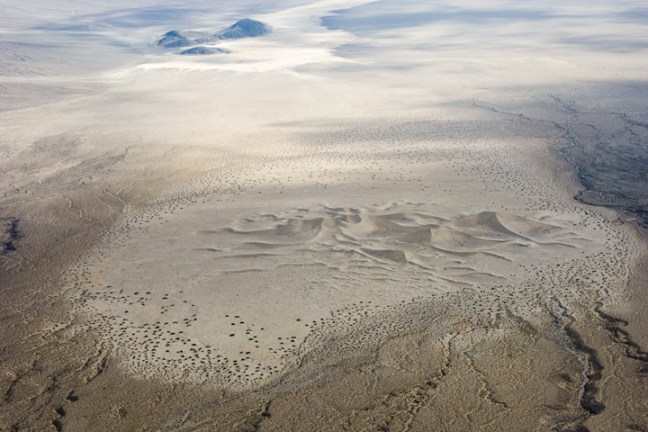 Michael Fuchs 052631 (5)