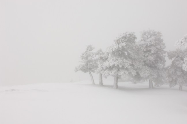 Michael Fuchs 053115 (1)