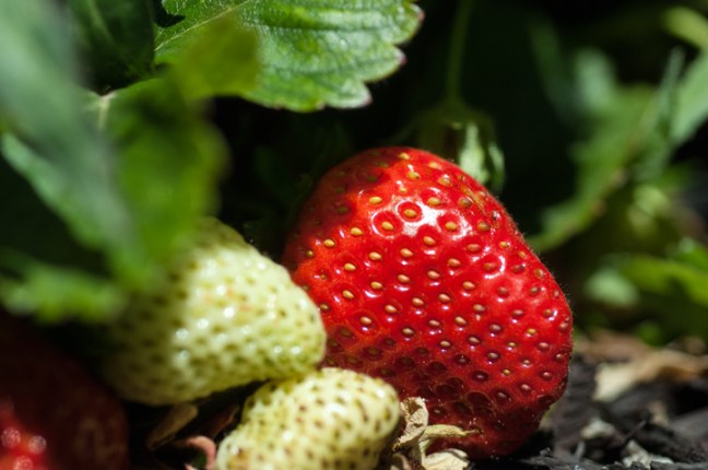 Michael Fuchs 060114 (3)