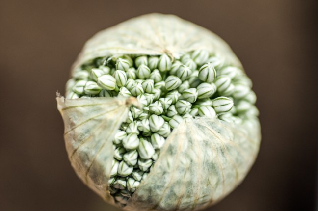 Michael Fuchs 060114 (4)