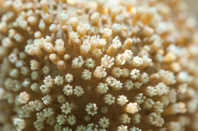 Michael Fuchs 060114 (5)