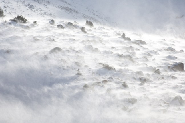 Michael Fuchs 060213 (1)