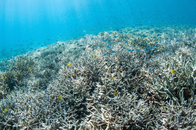 Michael Fuchs 060715 (1)