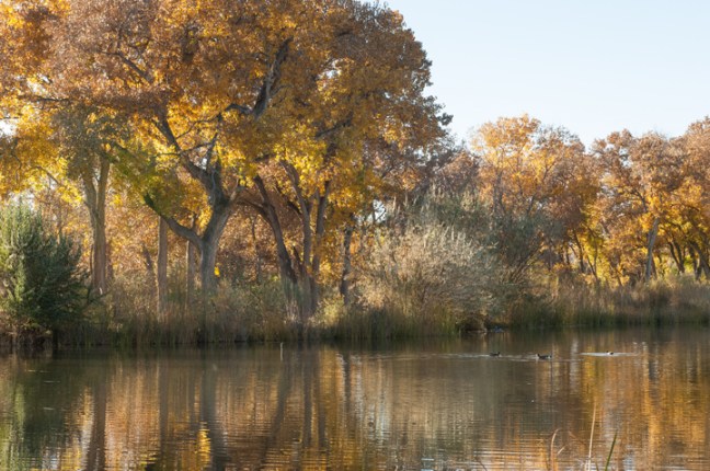 Michael Fuchs 060715 (3)