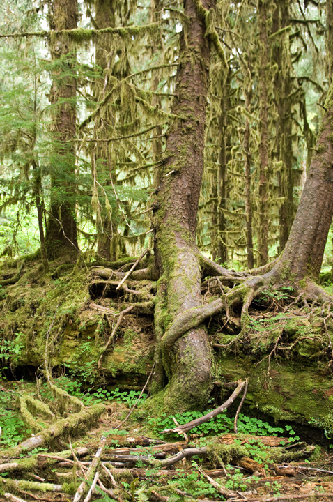 Michael Fuchs 061514 (2)