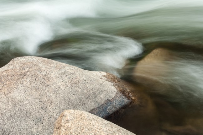 Michael Fuchs 061613 (3)