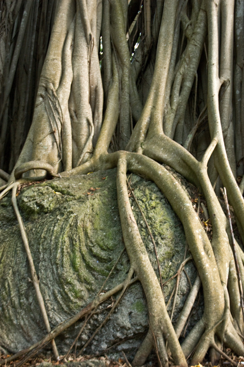 Michael Fuchs 061613 (5)