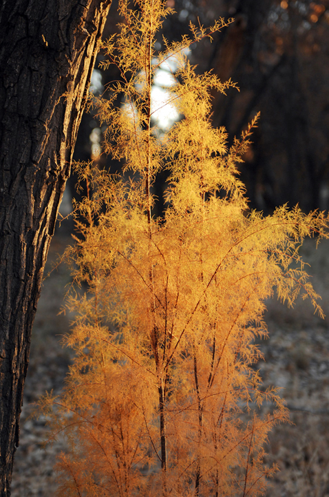 Michael Fuchs 062214 (2)