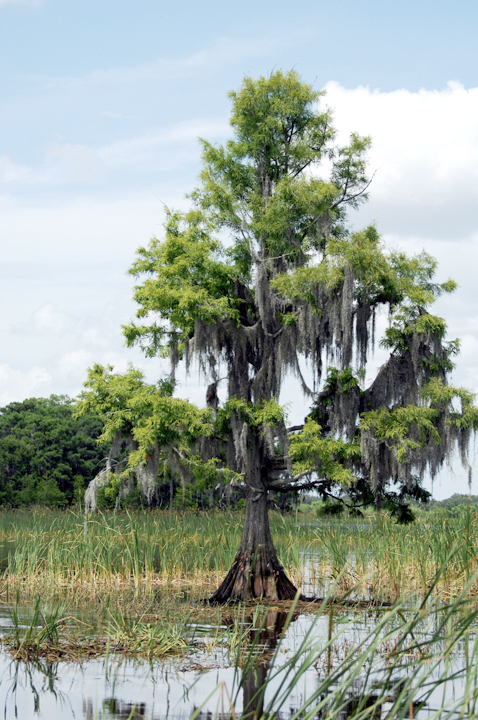 Michael Fuchs 062214 (3)