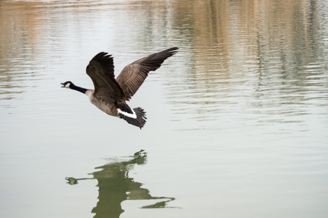 Michael Fuchs 062313 (3)