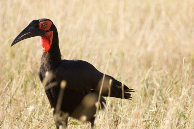 Michael Fuchs 062313 (5)