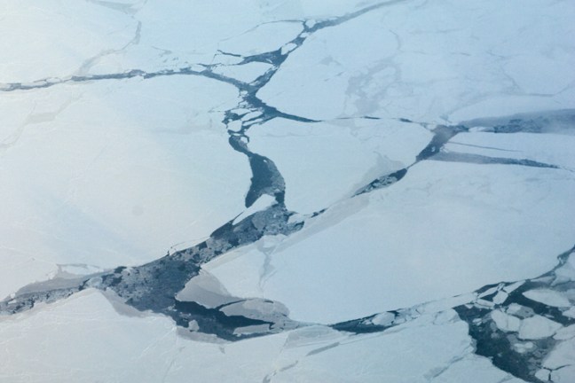 Michael Fuchs 062815 (2)