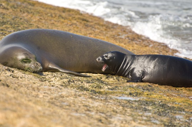 Michael Fuchs 062914