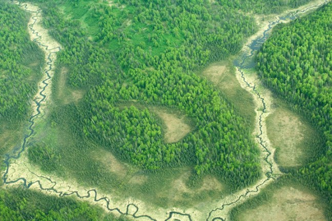 Michael Fuchs 070515 (4)