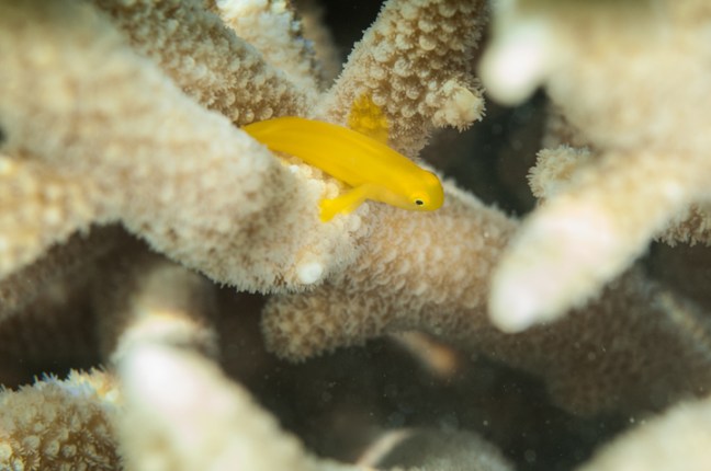 Michael Fuchs 070614 (2)