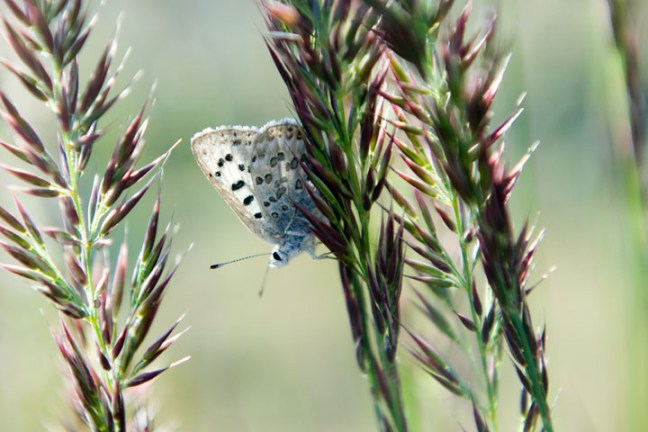 Michael Fuchs 071215 (4)