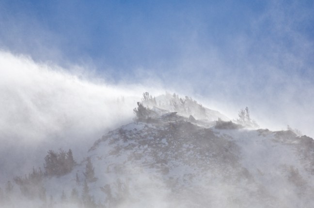 Michael Fuchs 071314 (1)